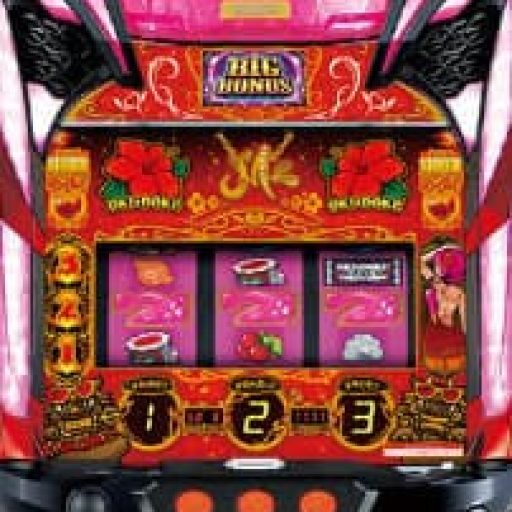 沖ドキゴージャス